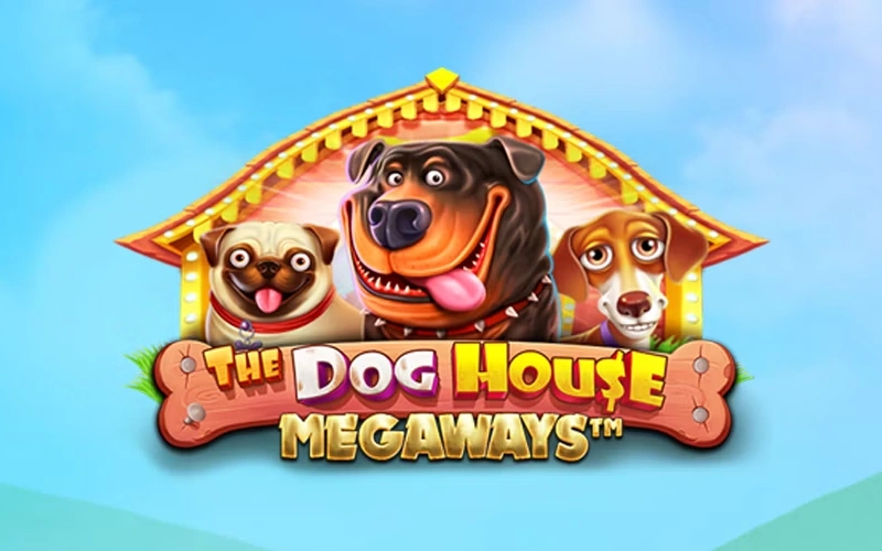 Jogue o caça-níquel The Dog House Megaways no cassino online Bateubet.